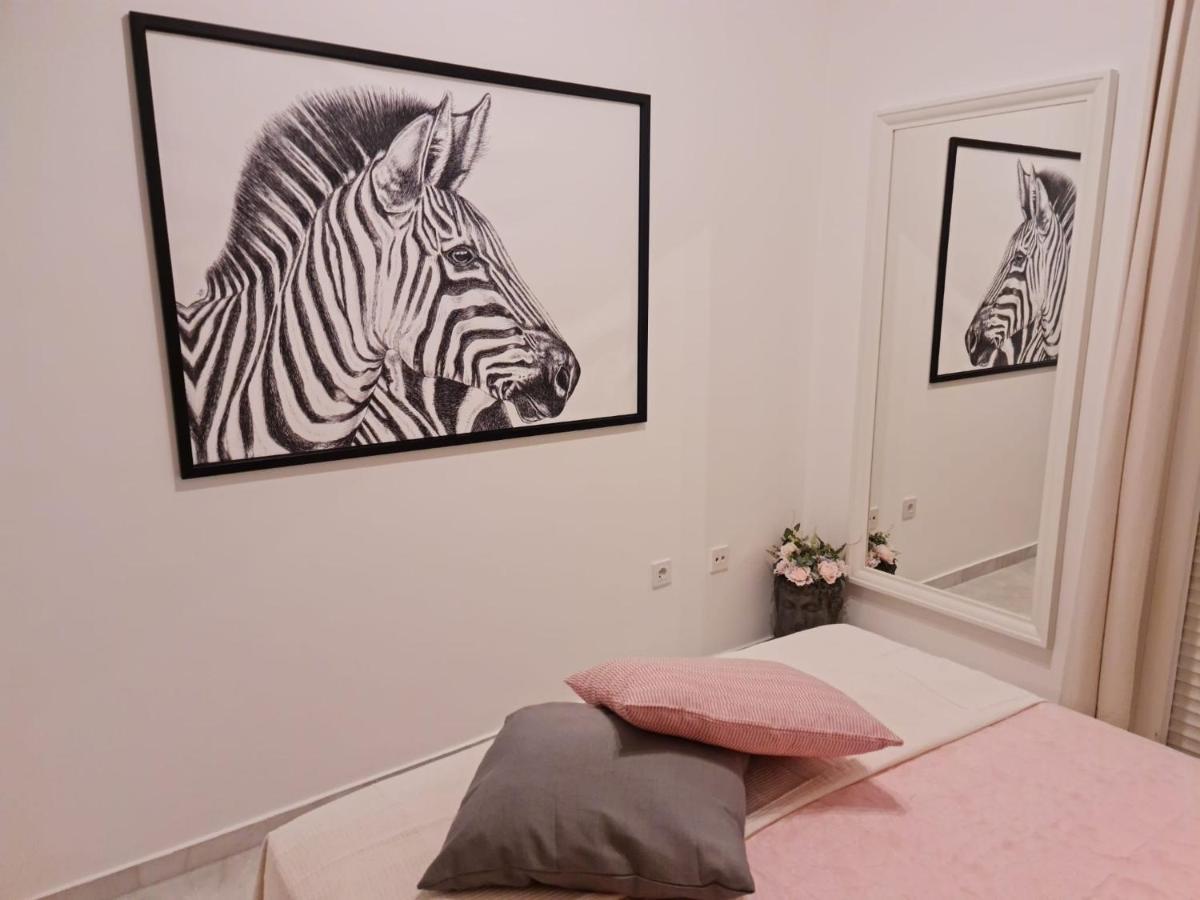 Apartamento Malaga Centro エクステリア 写真